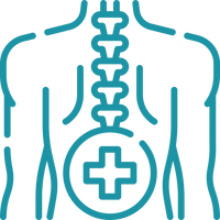 Neck & Spine Comfort